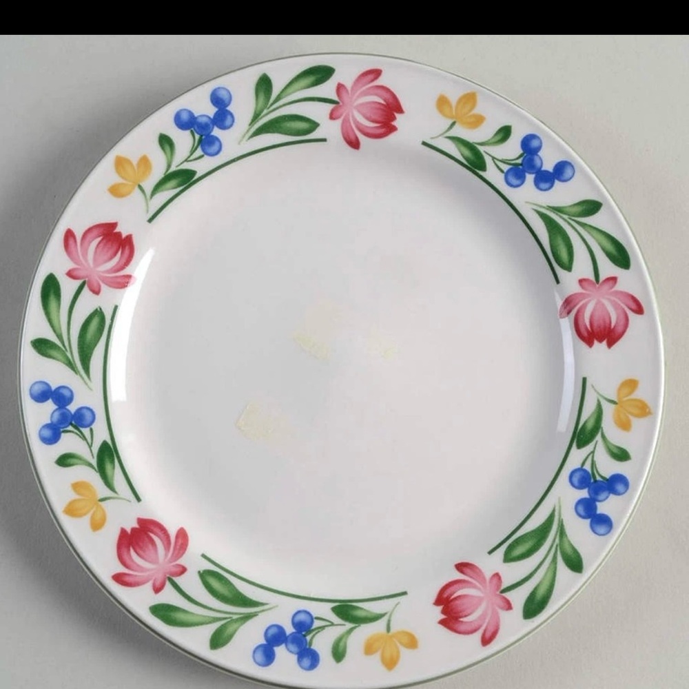 Farberware 388 Salads Plates Elegant Floral Design set of 2